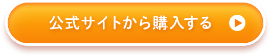 公式サイトから購入する